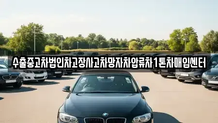 강원 삼척시 남양동 중고차매입 전문 수출중고차법인차고장사고차망자차압류차1톤차매입센터