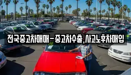 강원 삼척시 남양동 중고차매입 전문 전국중고차매매-중고차수출,사고노후차매입