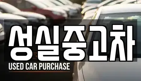 강원 삼척시 조비동 중고차 전문 성실중고차