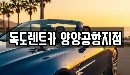 강원 양양군 손양면 렌트카 전문 독도렌트카 양양공항지점