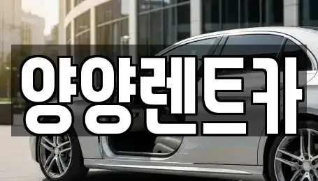 강원 양양군 손양면 렌트카 전문 양양렌트카