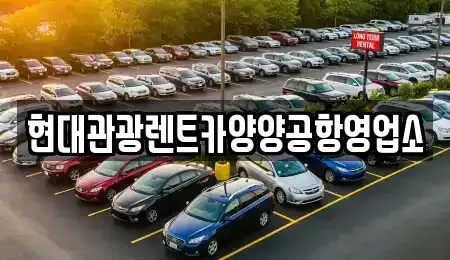 강원 양양군 손양면 렌트카 전문 현대관광렌트카양양공항영업소