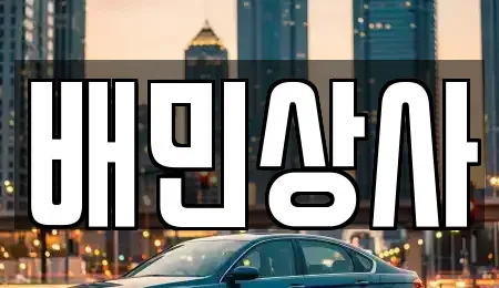 강원 양양군 손양면 중고차매매 전문 배민상사