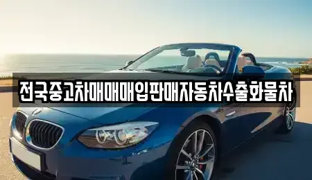 강원 양양군 손양면 중고차매매,단기렌트카,중고차매입,장기렌트카,중고차,렌트카