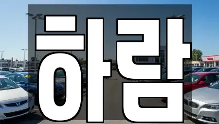 강원 원주시 명륜동 장기렌트카 전문 하람