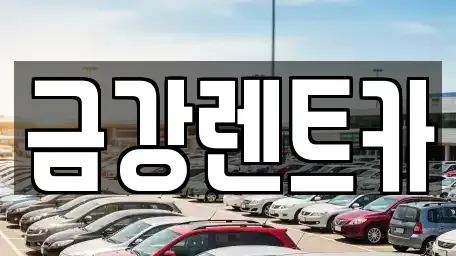 경기 수원시 장안구 율전동 렌트카 전문 금강렌트카