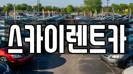 경기 수원시 장안구 율전동 장기렌트카 전문 스카이렌트카