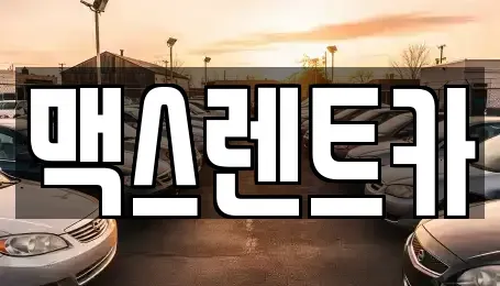 경기 용인시 기흥구 보라동 렌트카 전문 맥스렌트카