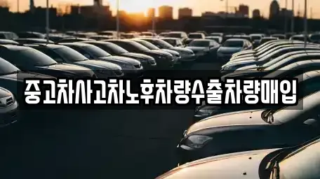 경기 용인시 기흥구 보라동 중고차 전문 중고차사고차노후차량수출차량매입