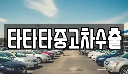 경기 용인시 기흥구 보라동 중고차매매 전문 타타타중고차수출