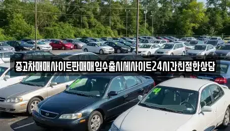 경기 용인시 처인구 백암면 중고차매매 전문 중고차매매사이트판매매입수출시세사이트24시간친절한상담