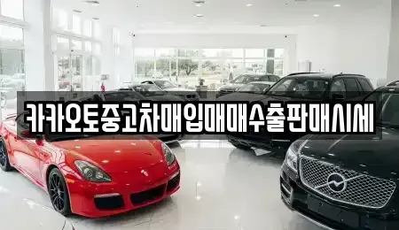 경기 용인시 처인구 백암면 중고차매매 전문 카카오토중고차매입매매수출판매시세