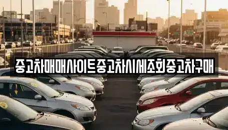 경기 이천시 단월동 중고차매매 전문 중고차매매사이트중고차시세조회중고차구매