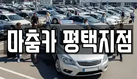 경기 평택시 신장동 렌트카,단기렌트카,장기렌트카,중고차,중고차매매,중고차매입