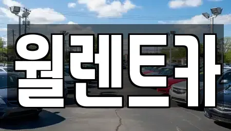 경기 평택시 신장동 렌트카 전문 월렌트카