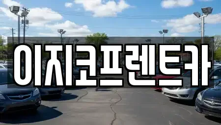 경기 평택시 신장동 렌트카 전문 이지코프렌트카