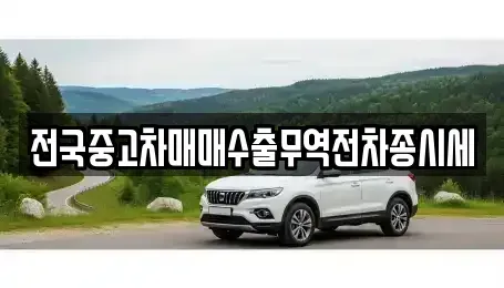 경기 평택시 신장동 중고차 전문 전국중고차매매수출무역전차종시세