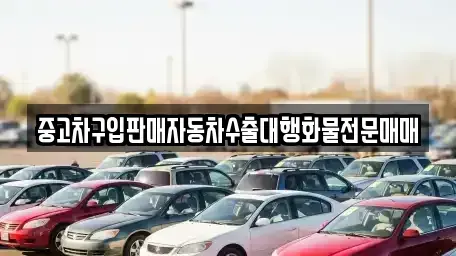 경기 평택시 신장동 중고차 전문 중고차구입판매자동차수출대행화물전문매매