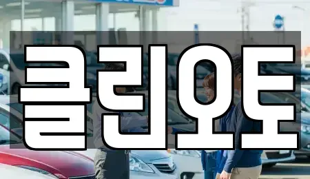 경기 평택시 신장동 중고차 전문 클린오토