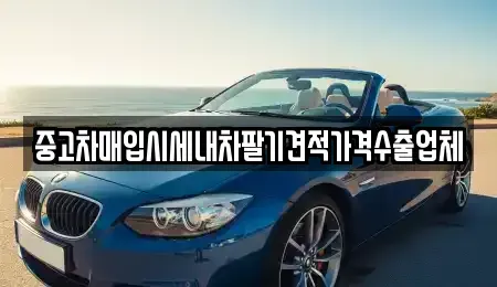 경기 평택시 신장동 중고차매입 전문 중고차매입시세내차팔기견적가격수출업체