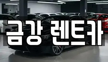 경기도 수원시 팔달구 영동 렌트카 전문 금강 렌트카