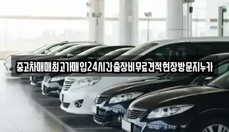경기도 시흥시 거모동 중고차 전문 중고차매매최고가매입24시간출장비무료견적현장방문지누카