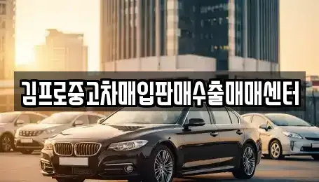 경기도 안양시 만안구 석수동 중고차매입 전문 김프로중고차매입판매수출매매센터