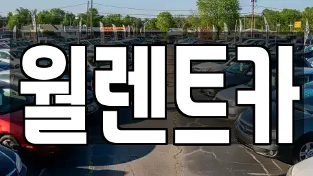 경기도 평택시 팽성읍 렌트카 전문 월렌트카