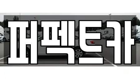 경기도 평택시 팽성읍 중고차 전문 퍼펙트카
