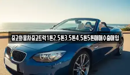 경남 합천군 대양면 중고차매입 전문 중고화물차중고트럭1톤2.5톤3.5톤4.5톤5톤매매수출매입