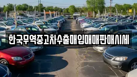 경북 경주시 성건동 중고차매입 전문 한국무역중고차수출매입매매판매시세