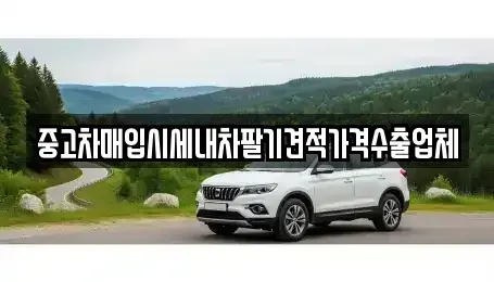 경상남도 창원시 의창구 차용동 중고차매입 전문 중고차매입시세내차팔기견적가격수출업체