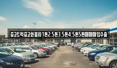 경상남도 합천군 묘산면 중고차매매,단기렌트카,중고차매입,장기렌트카,중고차,렌트카