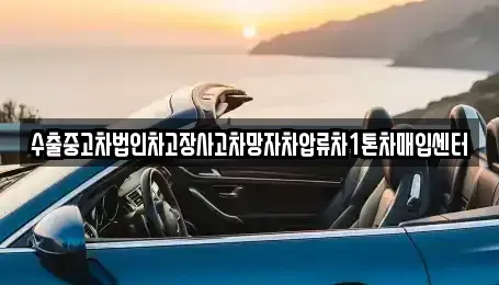 경상북도 경주시 성건동 중고차매매 전문 수출중고차법인차고장사고차망자차압류차1톤차매입센터