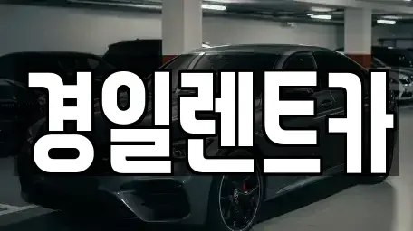 경상북도 포항시 남구 효자동 렌트카 전문 경일렌트카
