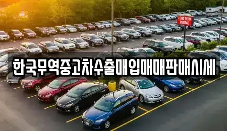 광주 광산구 소촌동 중고차매입 전문 한국무역중고차수출매입매매판매시세