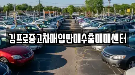 광주 남구 서동 중고차 전문 김프로중고차매입판매수출매매센터