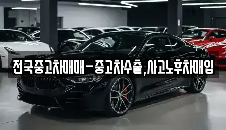 광주 북구 용봉동 중고차매매 전문 전국중고차매매-중고차수출,사고노후차매입