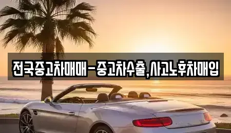 광주광역시 서구 농성동 중고차 전문 전국중고차매매-중고차수출,사고노후차매입