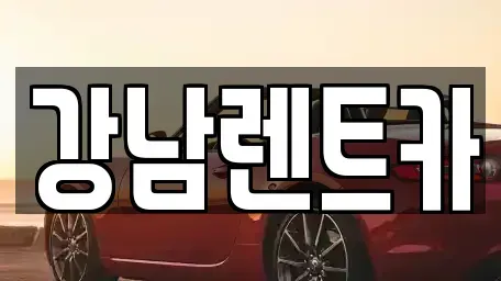 대전광역시 서구 복수동 렌트카 전문 강남렌트카