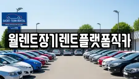 서울 성동구 사근동 장기렌트카 전문 월렌트장기렌트플랫폼직카