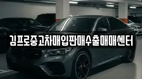 서울 종로구 인의동 중고차매매 전문 김프로중고차매입판매수출매매센터