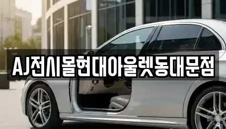 서울 중구 광희동2가 렌트카 전문 AJ전시몰현대아울렛동대문점