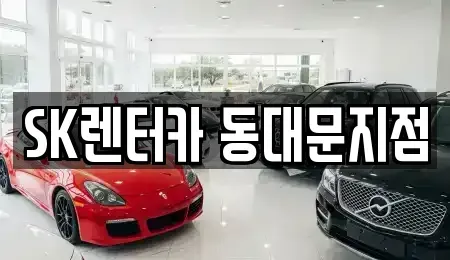 서울 중구 광희동2가 렌트카 전문 SK렌터카 동대문지점