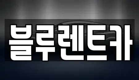서울 중구 광희동2가 렌트카 전문 블루렌트카