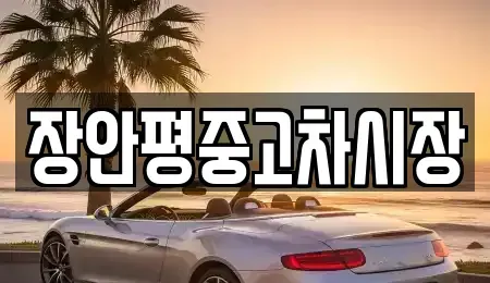 서울 중구 광희동2가 중고차 전문 장안평중고차시장