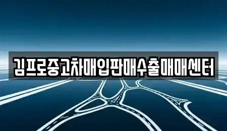서울 중구 광희동2가 중고차매입 전문 김프로중고차매입판매수출매매센터