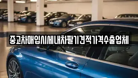 서울 중구 광희동2가 중고차매입 전문 중고차매입시세내차팔기견적가격수출업체