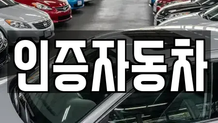 서울 중구 충무로3가 중고차매매 전문 인증자동차