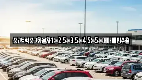 서울 중구 충무로3가 중고차매입 전문 중고트럭중고화물차1톤2.5톤3.5톤4.5톤5톤매매매입수출